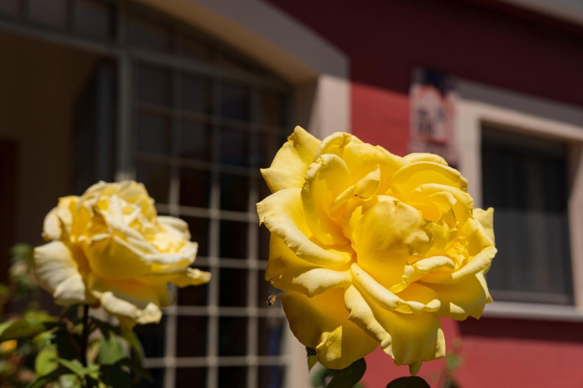 Casa Rural Rinconada La Rinconada de la Sierra Zewnętrze zdjęcie